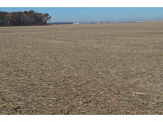 Tract 2 - FARMLAND AUCTION - 165.5+/- ACRES OFFERED IN 5 TRACTS OR COMBINATIONS IN EAST ALLEN COUNTY